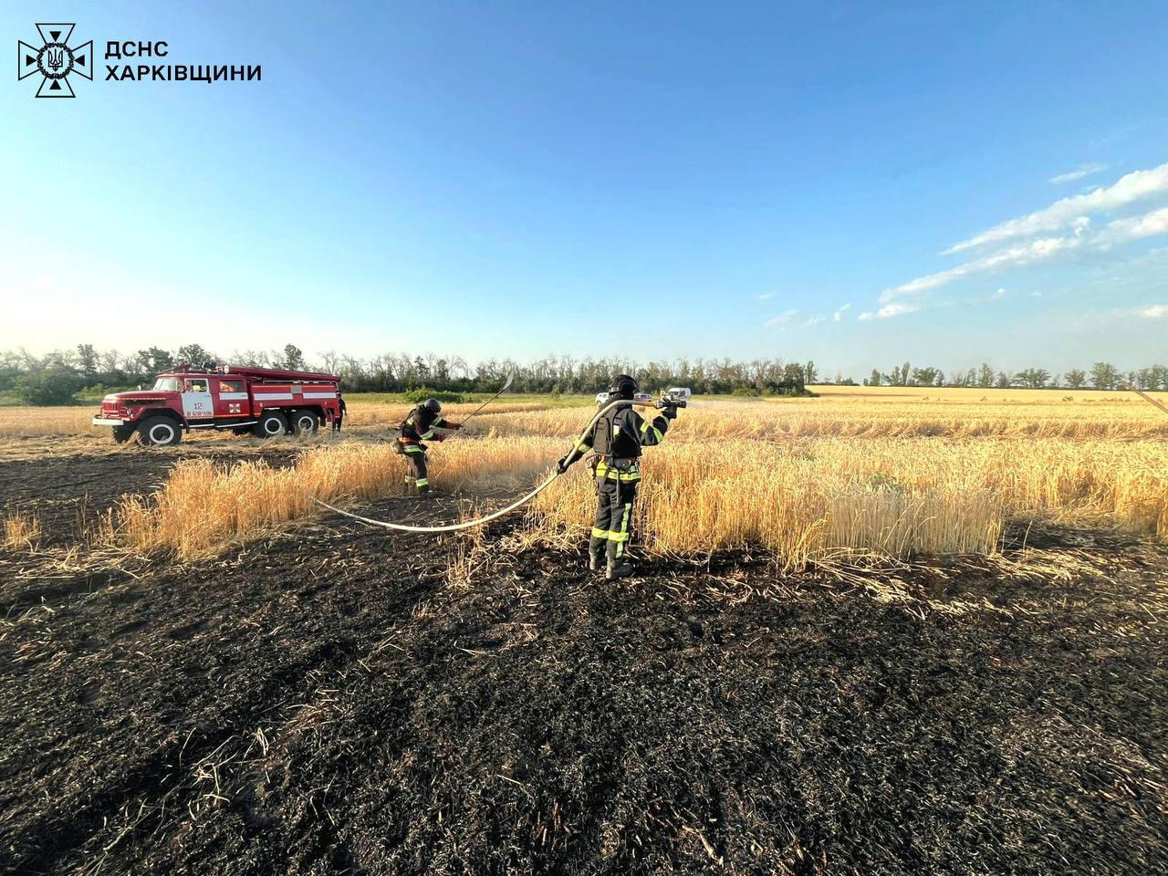 alt Russia Destroys Wheat Fields in Kharkiv Region