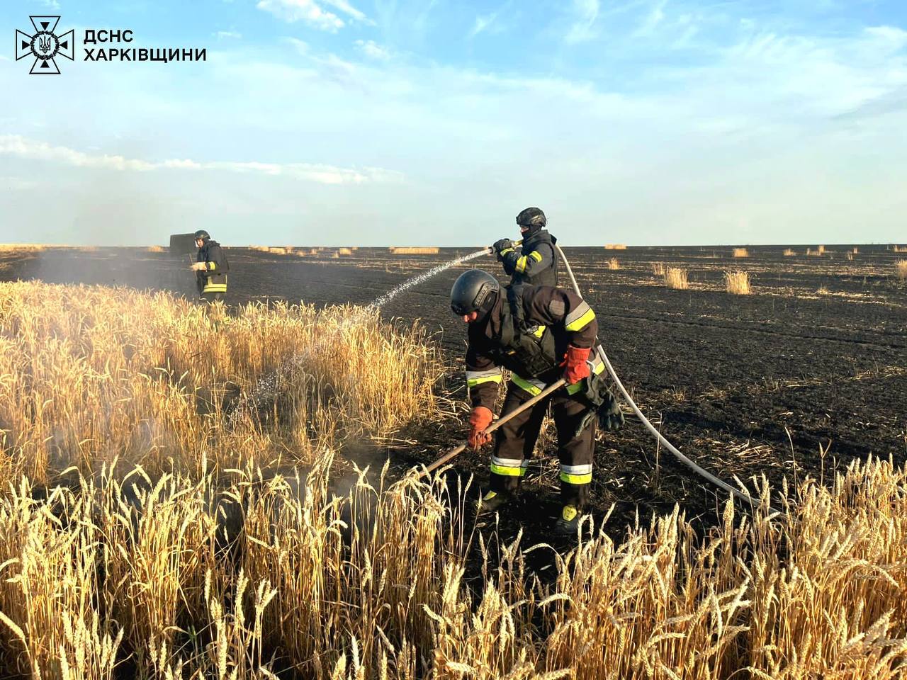 alt Russia Destroys Wheat Fields in Kharkiv Region